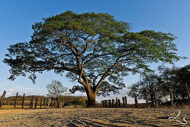 Visual no caminho para Tamarindo