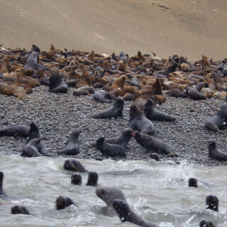 Peru - 073